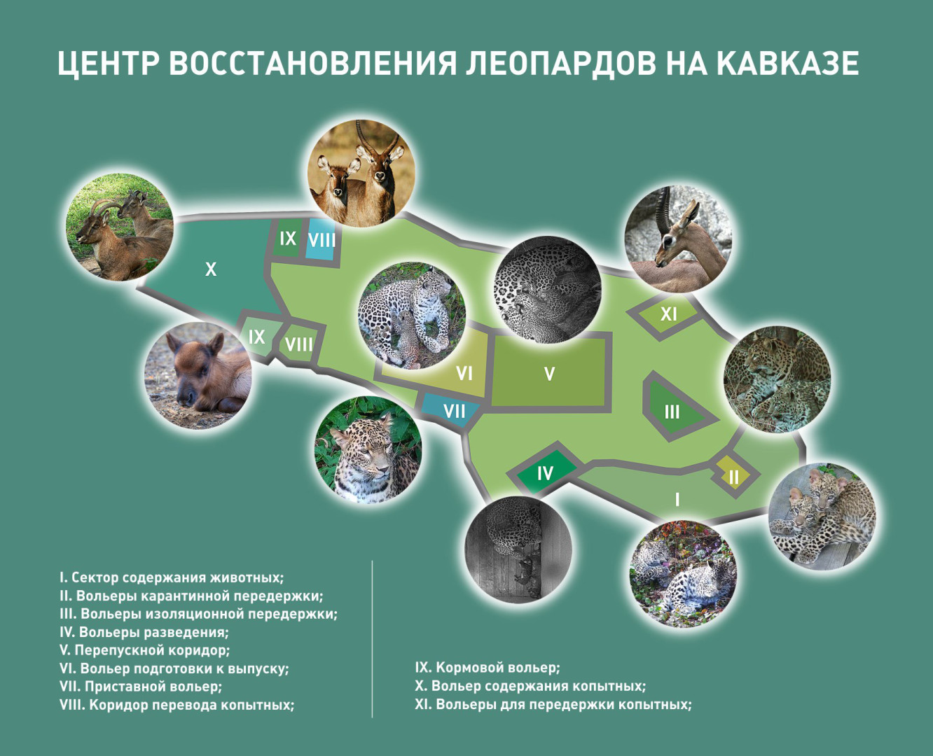 Схема Центра восстановления леопардов на Кавказе