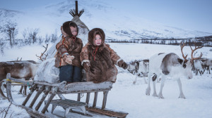 Зимняя экспедиция в стойбище ненецких оленеводов с проживанием в чуме