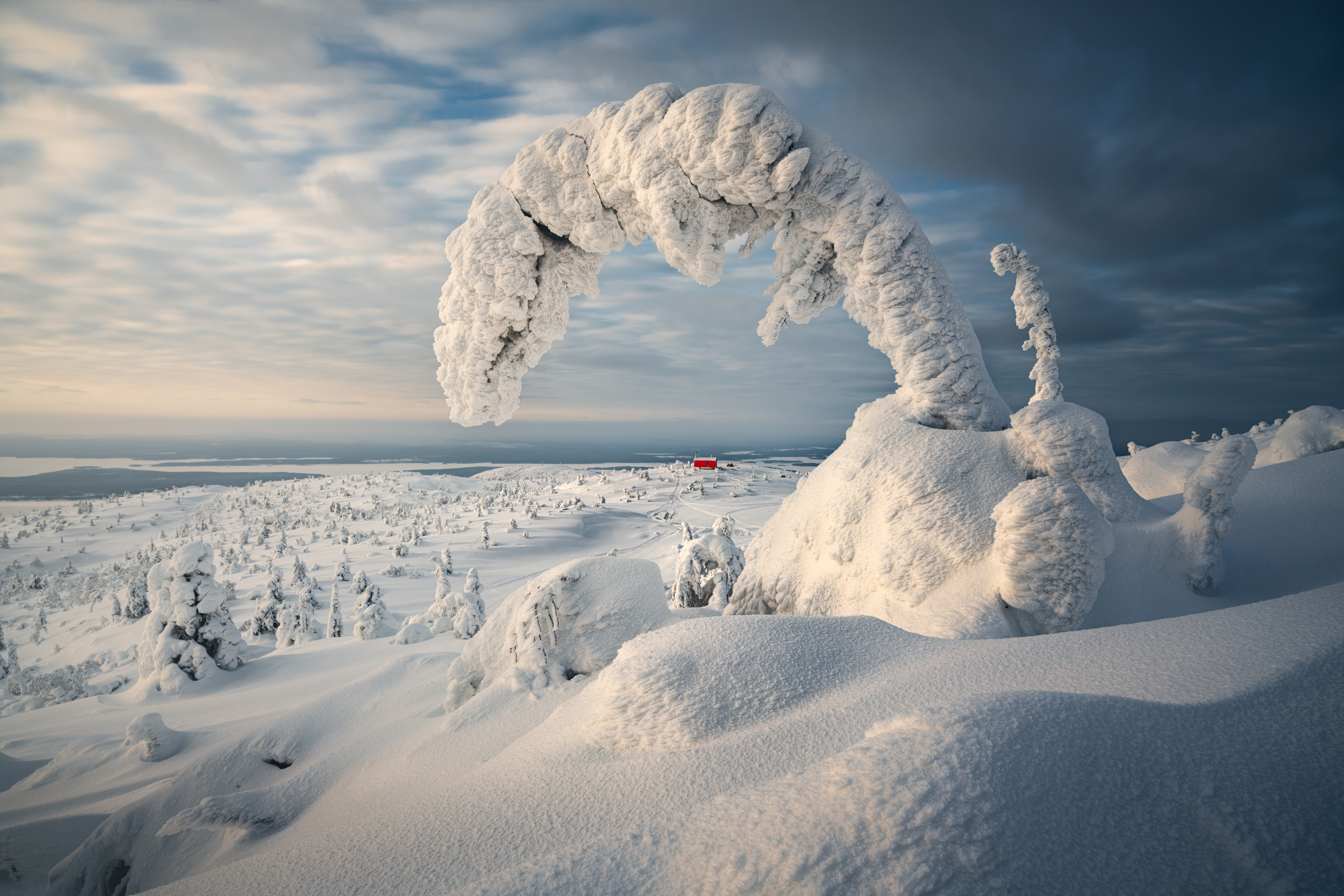Кольский полуостров славится сказочно-снежными зимами. Фото: Zhu Xiao, участник фотоконкурса РГО 