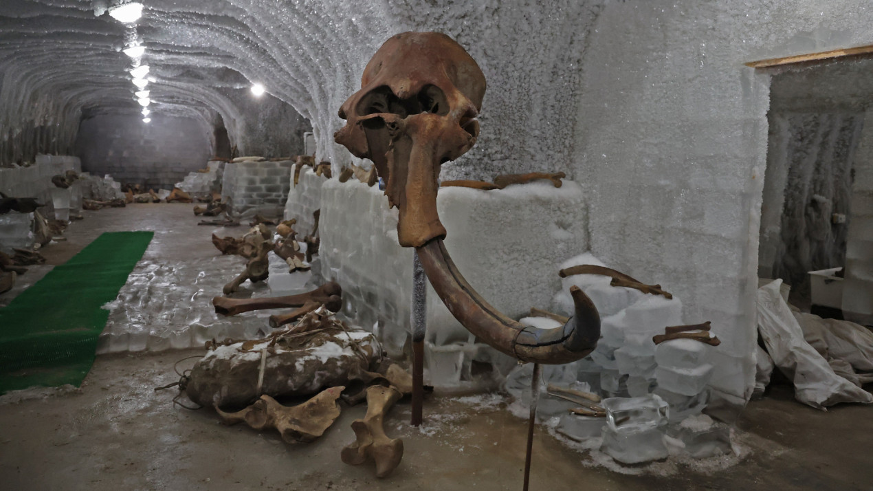 Музей Мамонта в Хатанге. Фото: пресс-служба РГО