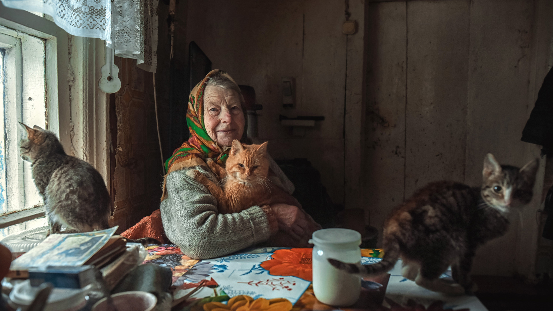 Бабушка Надя и ее кошки. Фото: Ольга Папина, участник фотоконкурса РГО «Самая красивая страна»