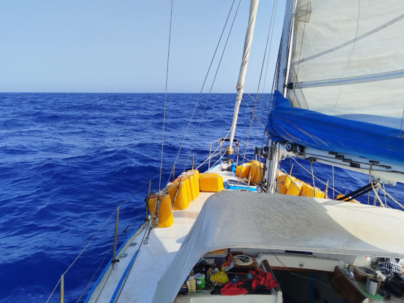 In the Mediterranean Sea. Photos of the expedition participants