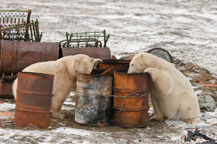 Фото: Сергей Горшков
