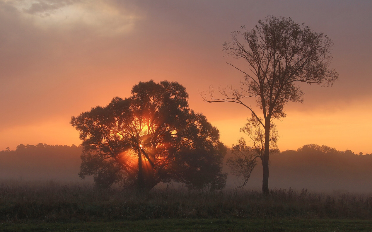 Оптина Пустынь. Фото: Евгений Суетинов, участник конкурса РГО «Самая красивая страна»