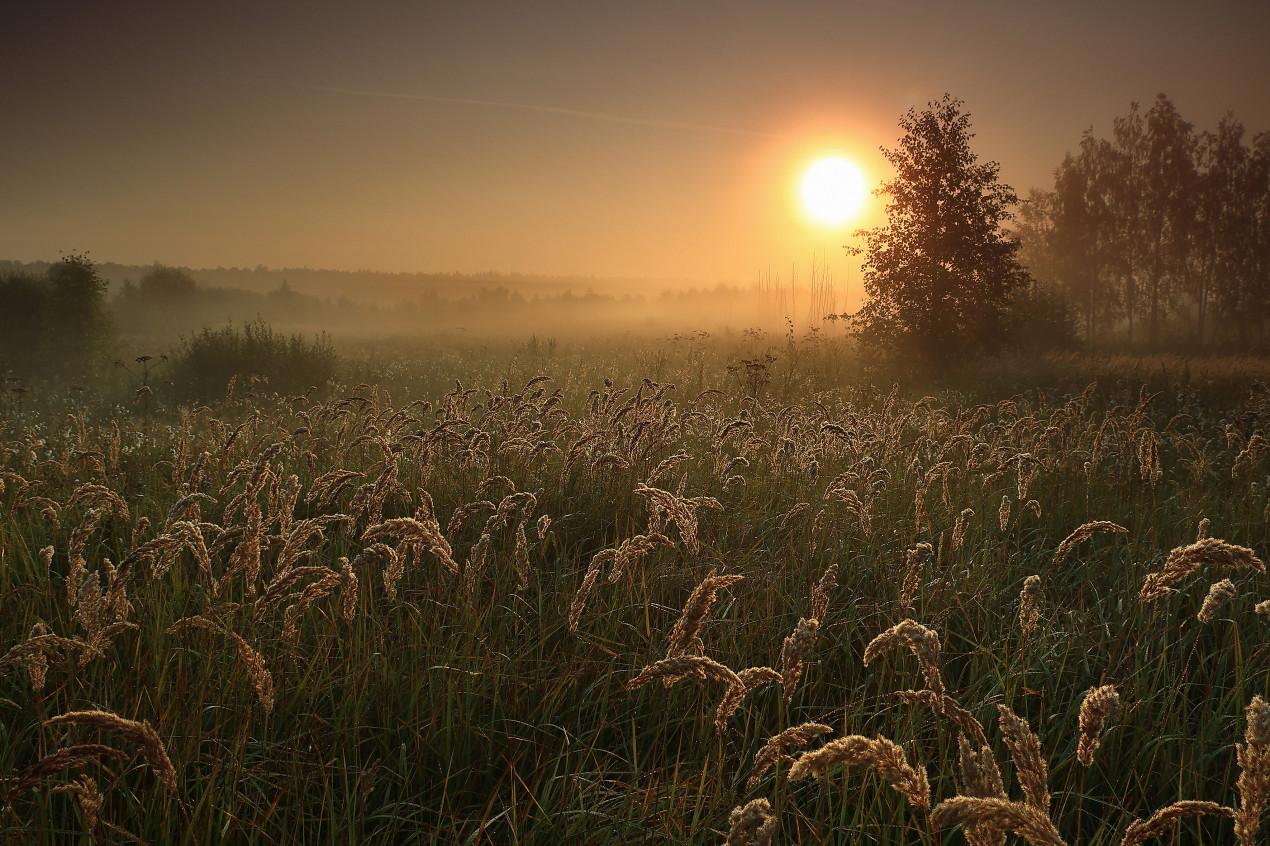 Туманное утро. Фото: Сергей Тельнюк, участник конкурса РГО «Самая красивая страна»