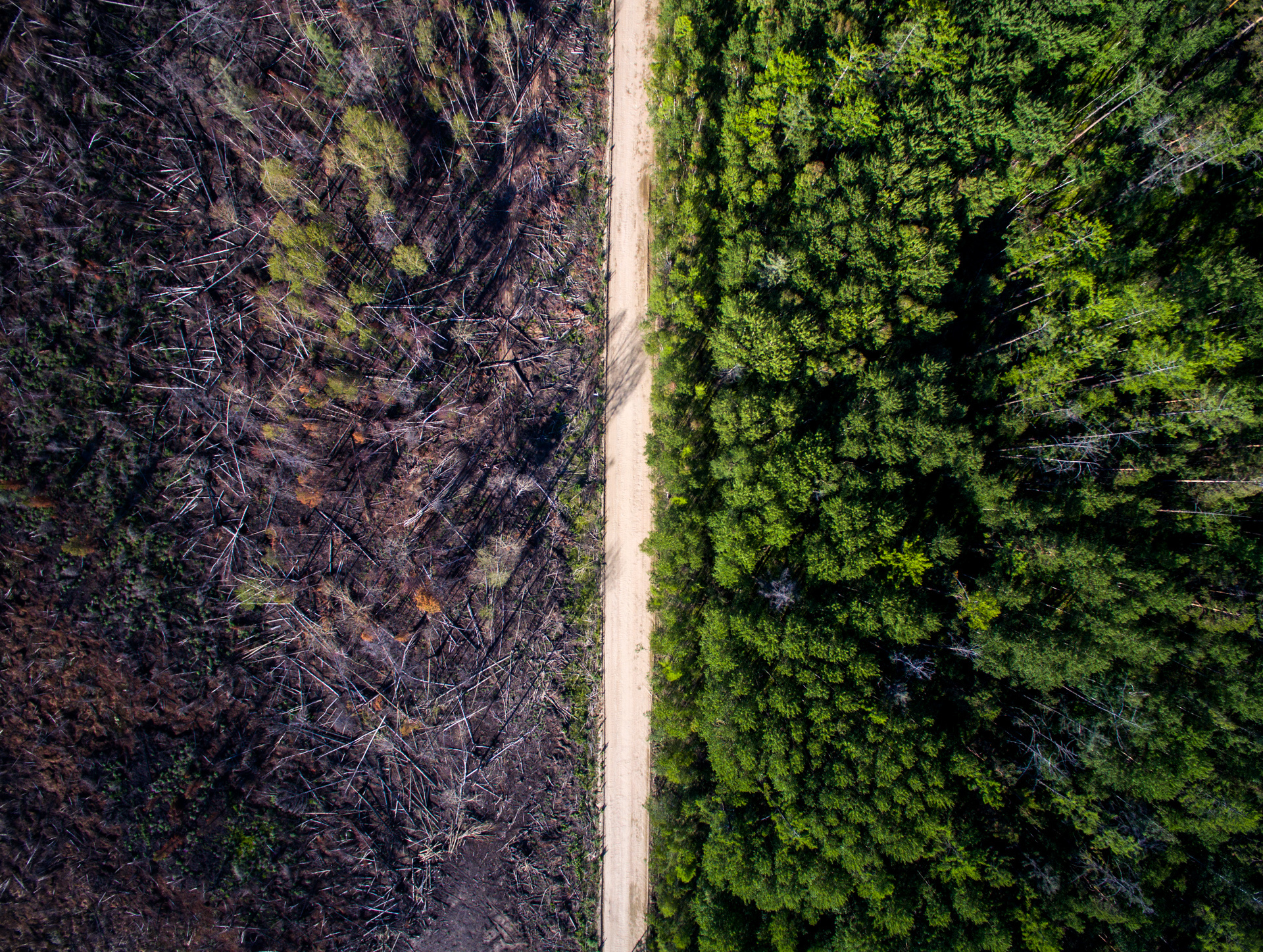 Фото: Евгений Гринштейн, участник фотоконкурса РГО 