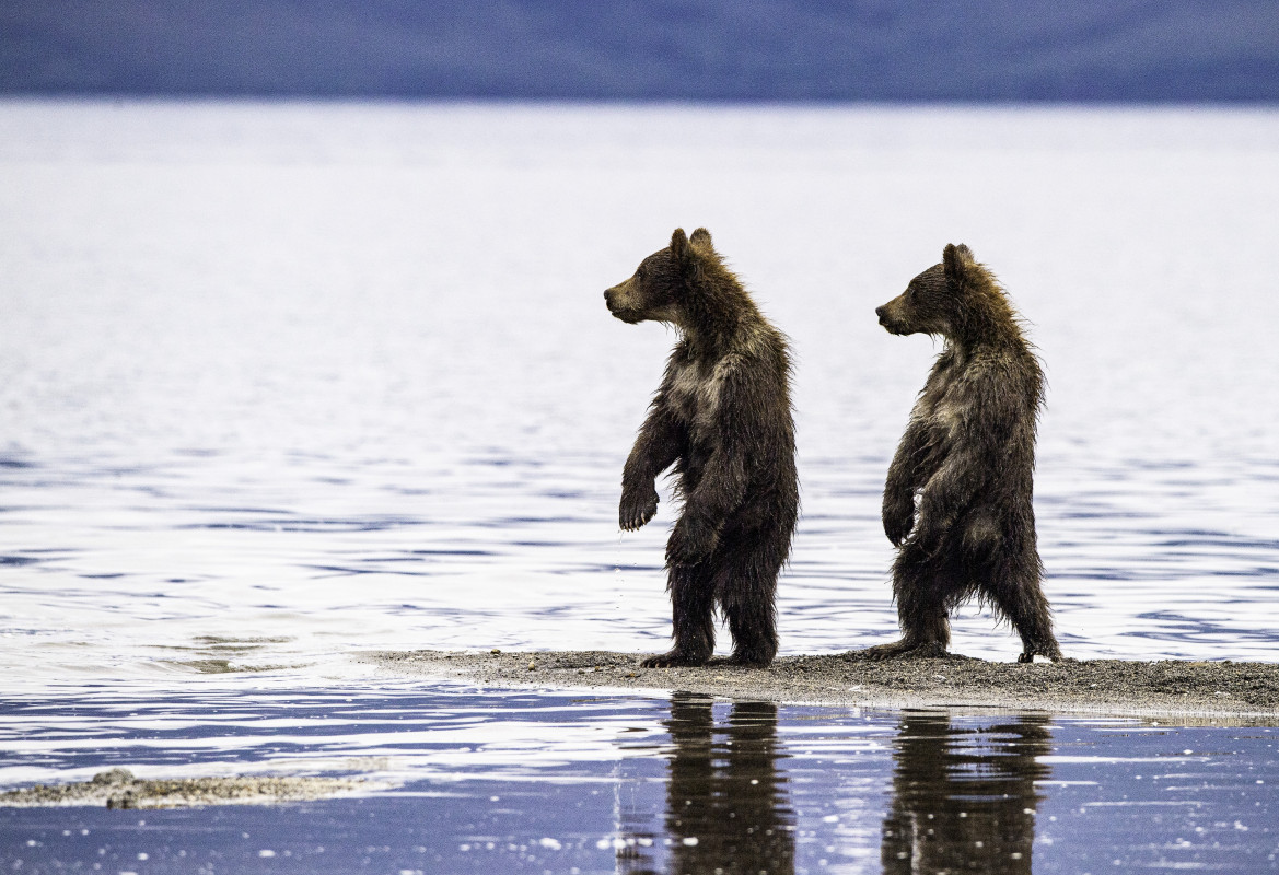 Фото: Алексей Шаскольский