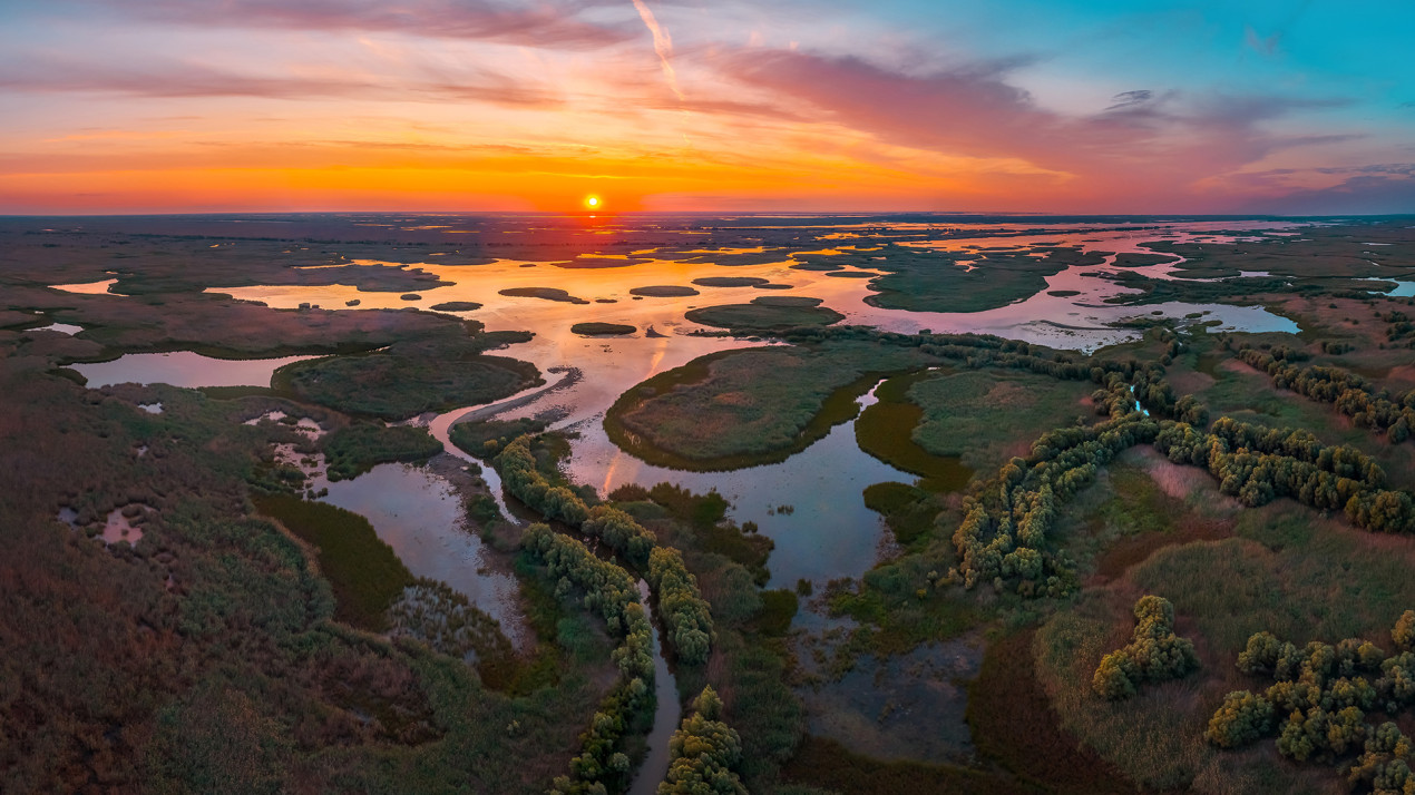 Астраханский биосферный заповедник, дельта Волги. Фото: Федор Лашков, участник фотоконкурса РГО «Самая красивая страна»