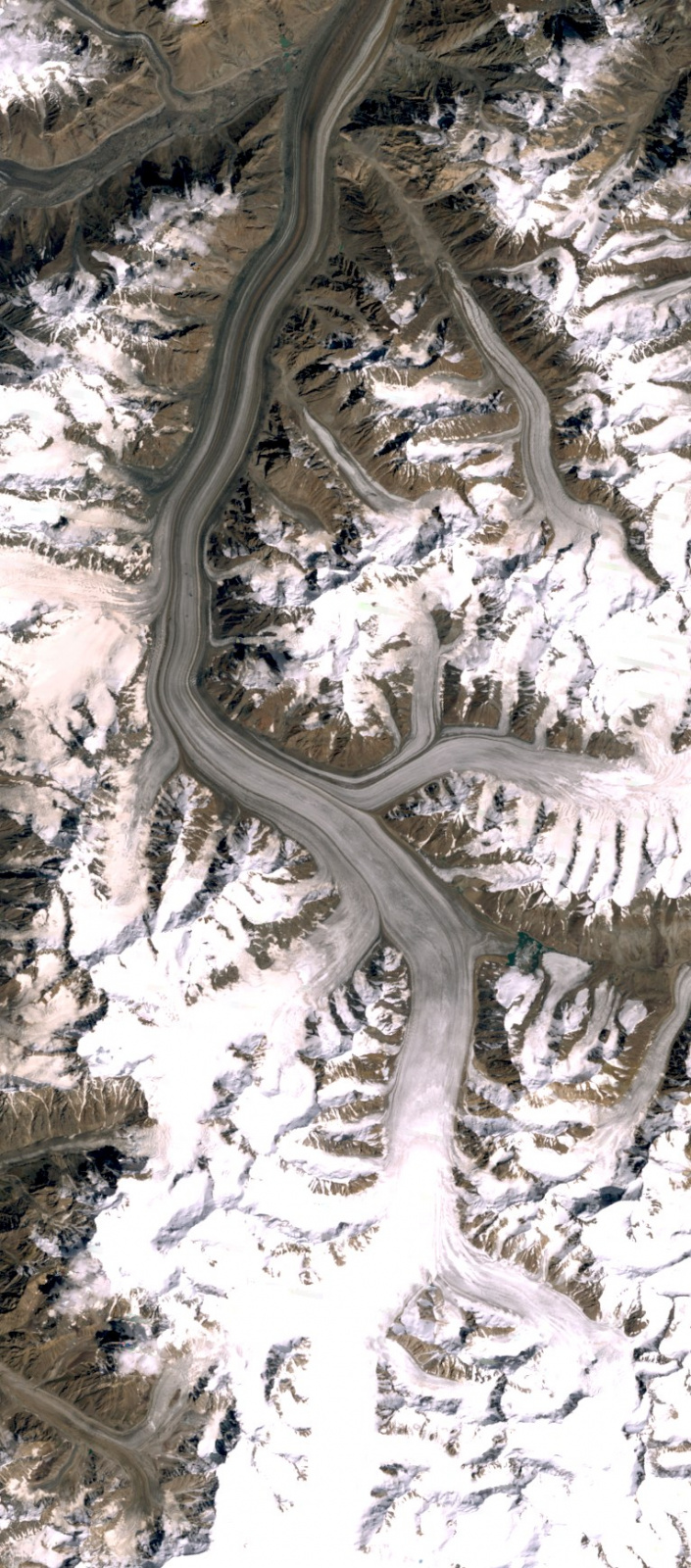 Ледник Федченко. Снимок со спутника NASA.  Фото: wikipedia.org