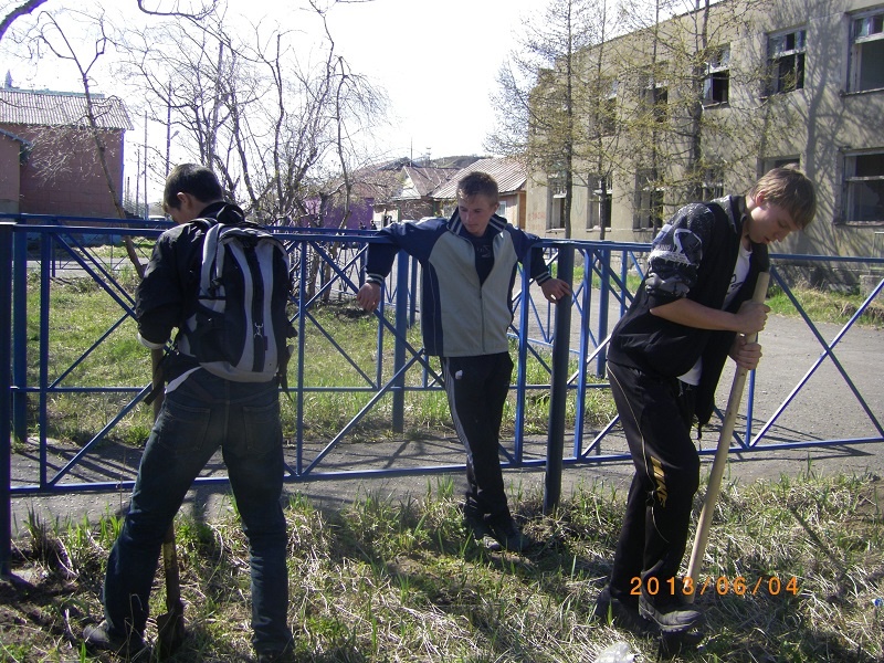 Посадка саженцев