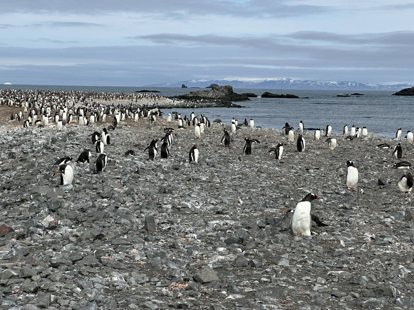 The local population. Photo provided by the project participants