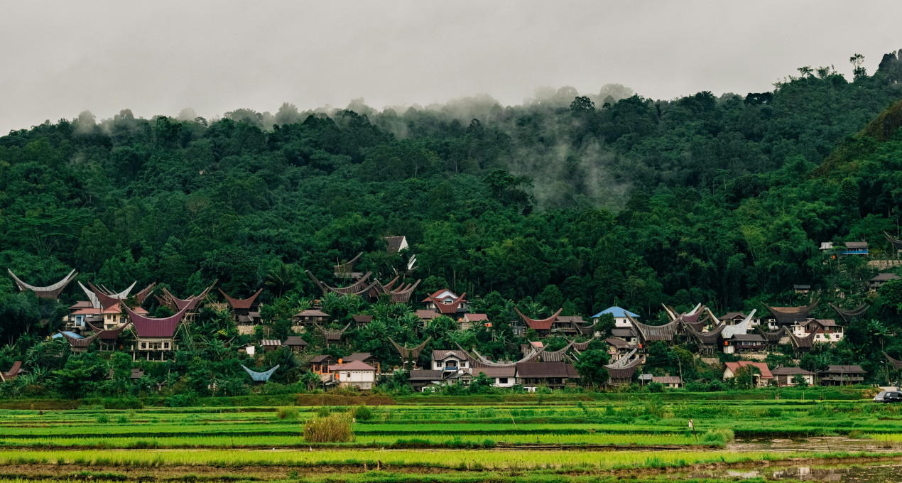 Земля Тораджа на острове Сулавеси. Фото: Fadhil Abhimantra / unsplash.com