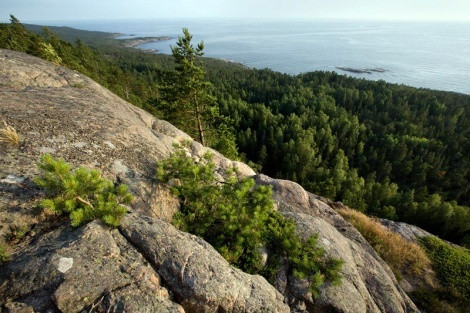 The Hogland Island. Photo by Andrey Strelnikov