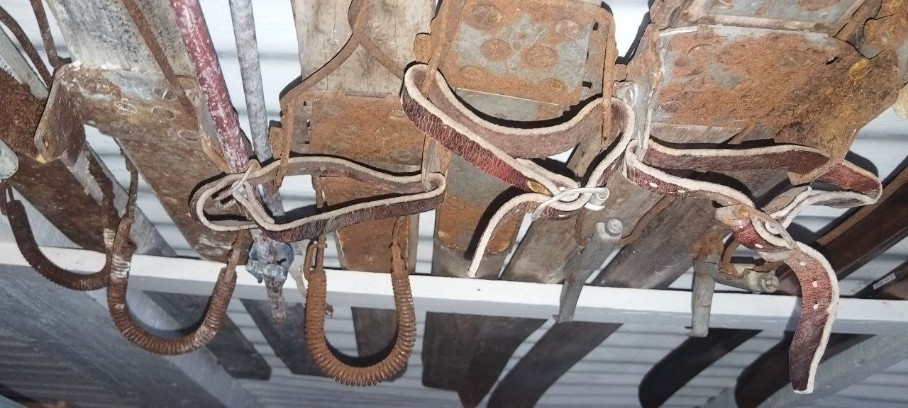 Skis made of whale bone at the British “Lockroy” station. The photo was provided by the expedition members