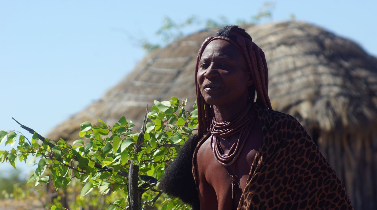 Фото: Н. Носов