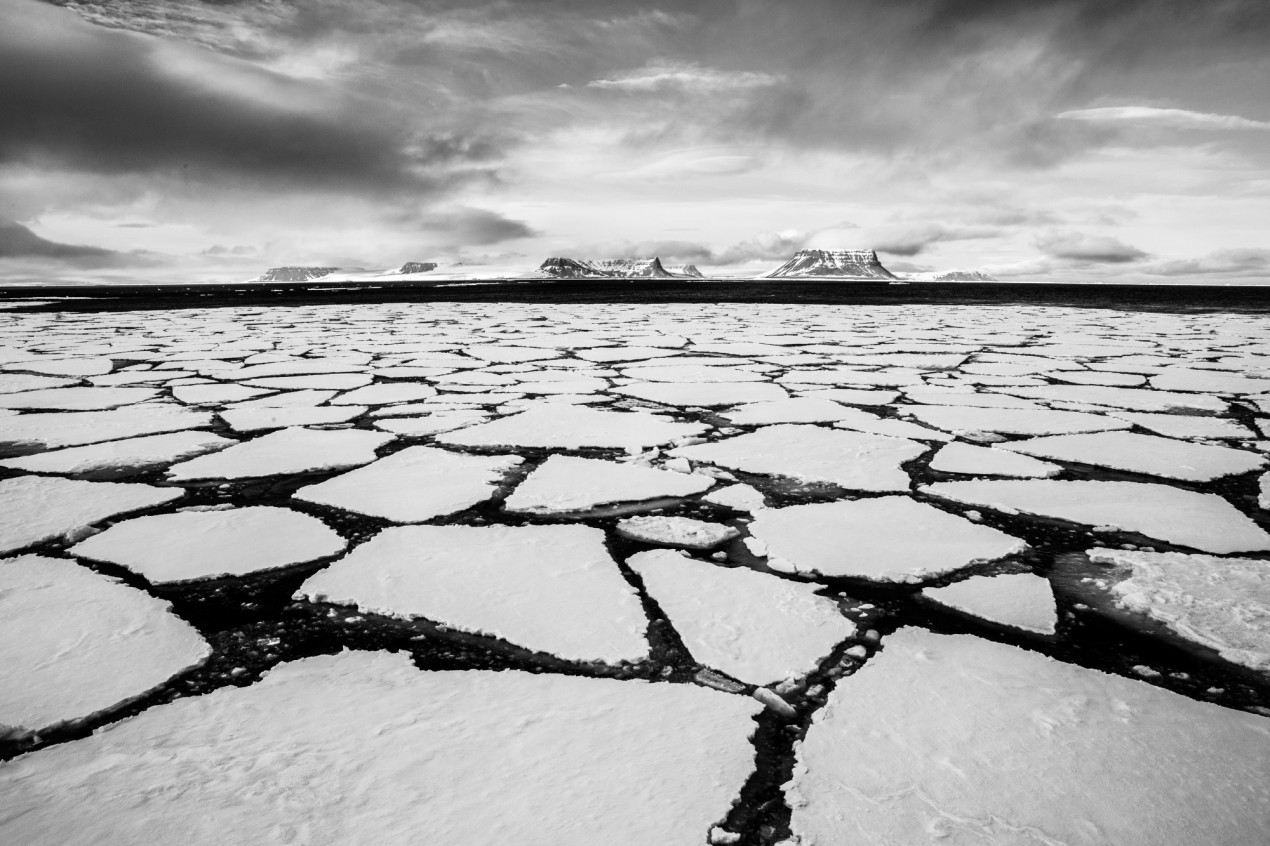 Ледовые поля в районе Земли Франца-Иосифа. Фото: Николай Гернет, участник конкурса РГО 