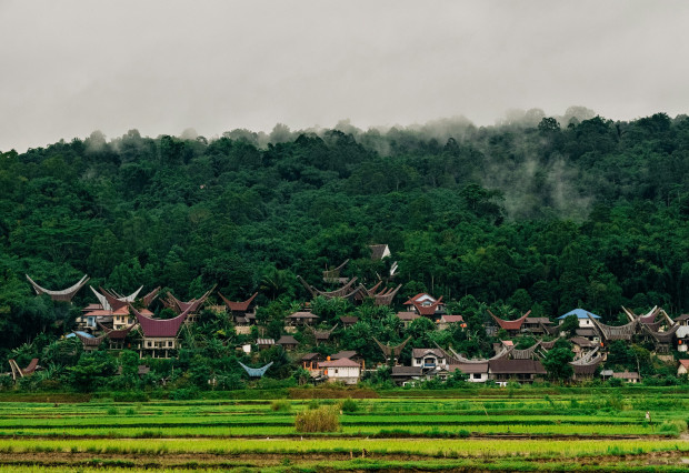 Деревня Тораджа. Фото: Fadhil Abhimantra on Unsplash