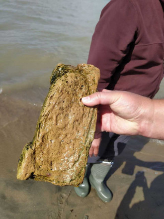 An ancient brick from the bottom of Issyk-Kul. Photos of the expedition participants