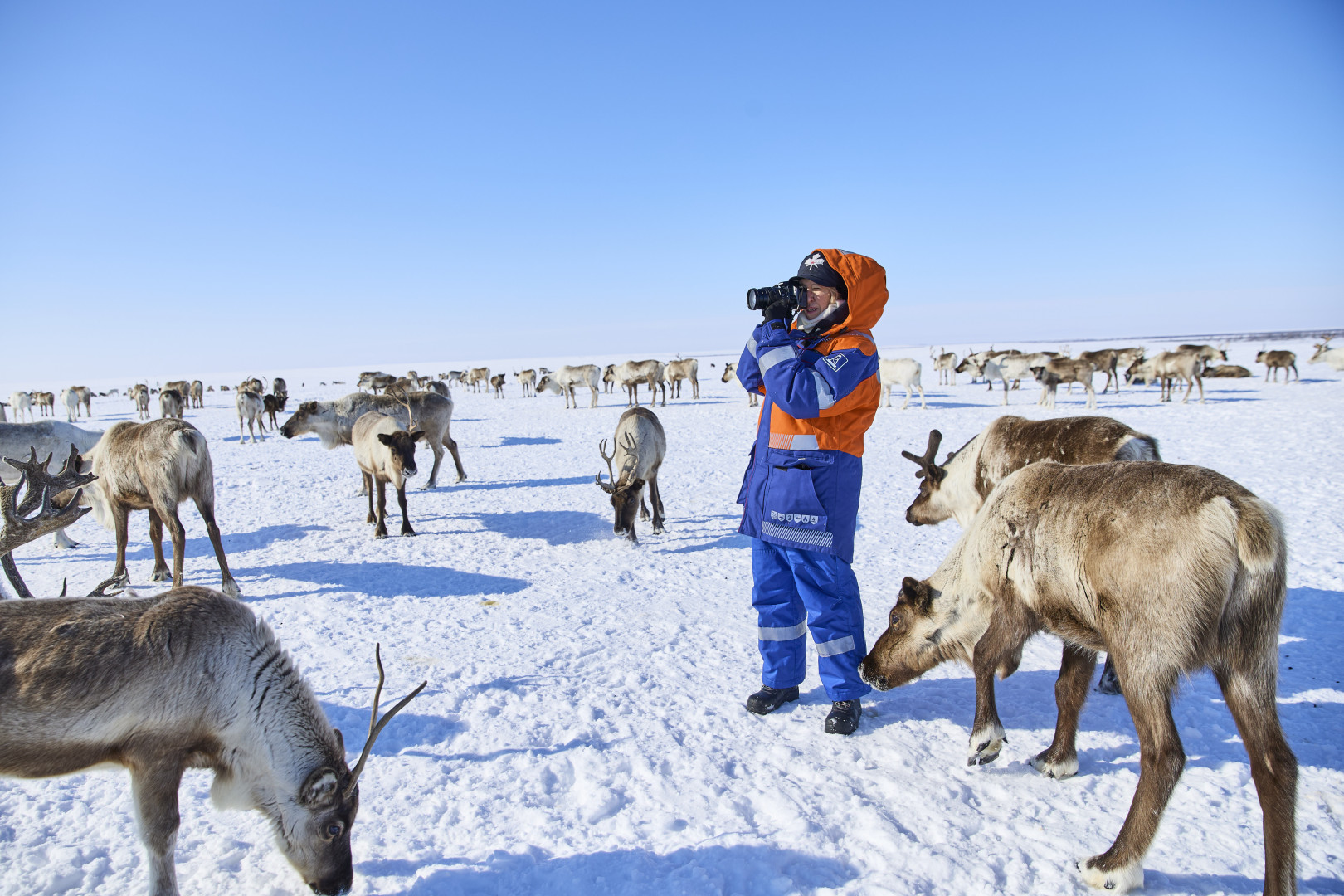 The delegation of the RGS at the reindeer herders' camp. Photo: Sergei Polyukhov