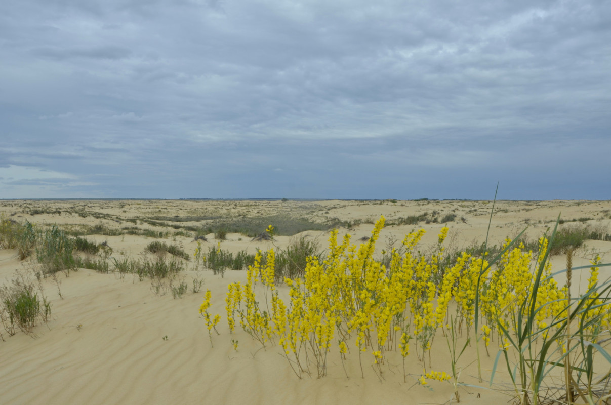 Фото: И. Шидловский