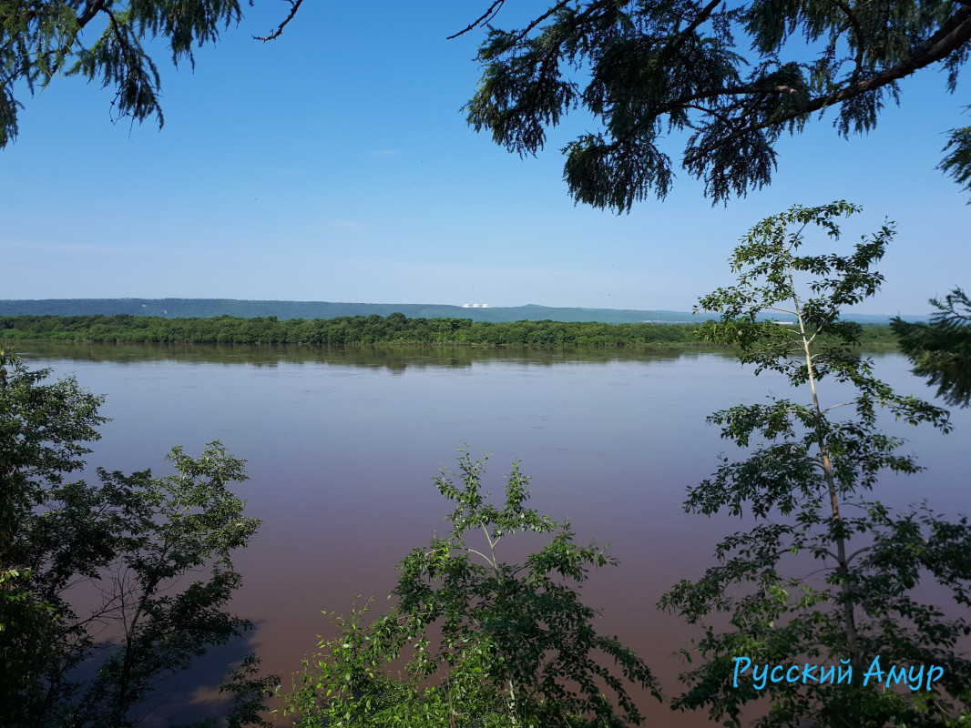 Фото: Алексей Воронин