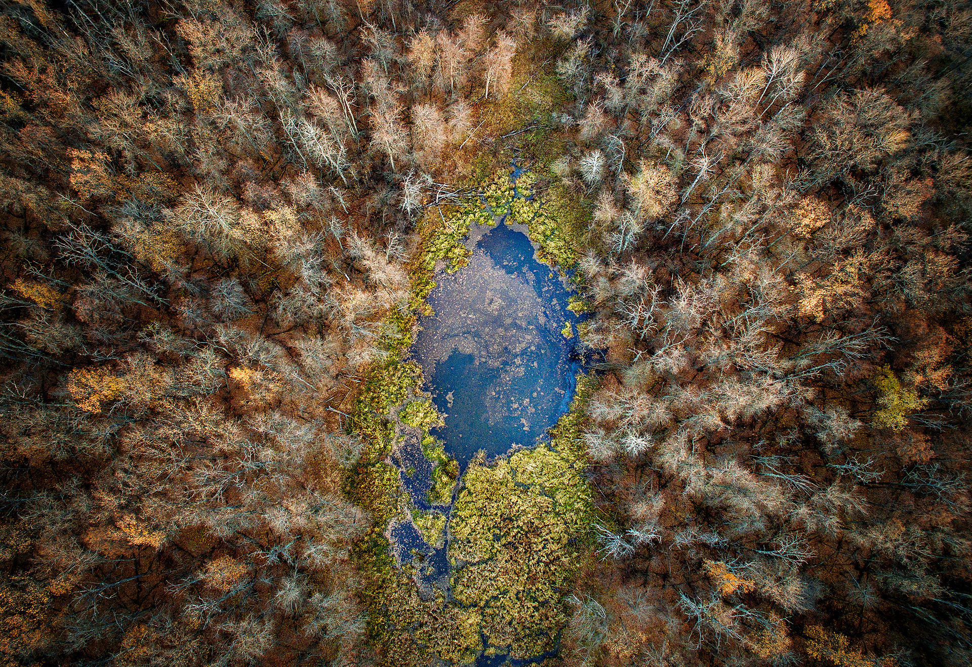 Лесное озеро. Фото: Константин Толоконников, участник конкурса РГО 