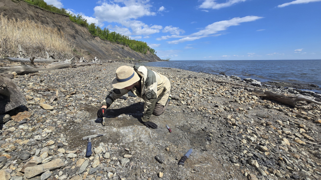 Палеоэкспедиция в Ундорах — возможность найти 