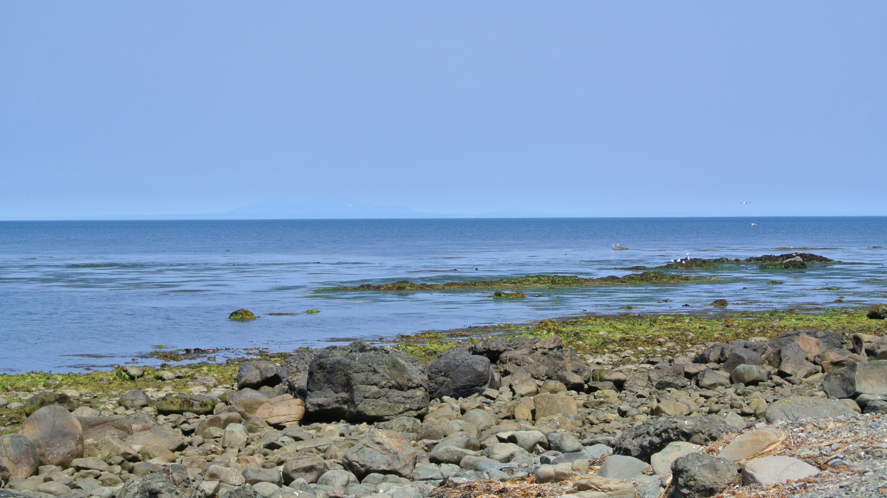Здесь свои правила. Заказник «Малые Курилы». Фото: Ольга Сокова