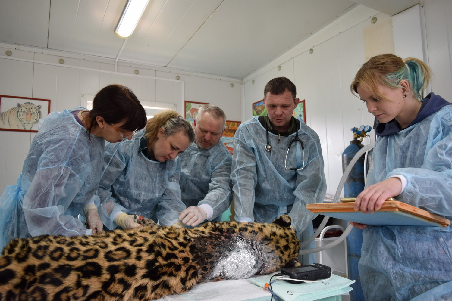 Фото предоставлено пресс-службой национального парка