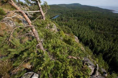 View of the southern part of the island of Gogdand from Falcon Mountain