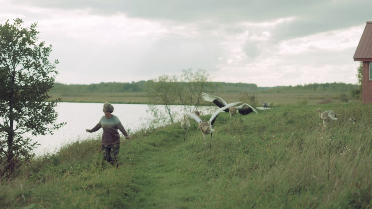 Кадр из фильма «Территория привязанности». Фото предоставлено Киностудией Горького 