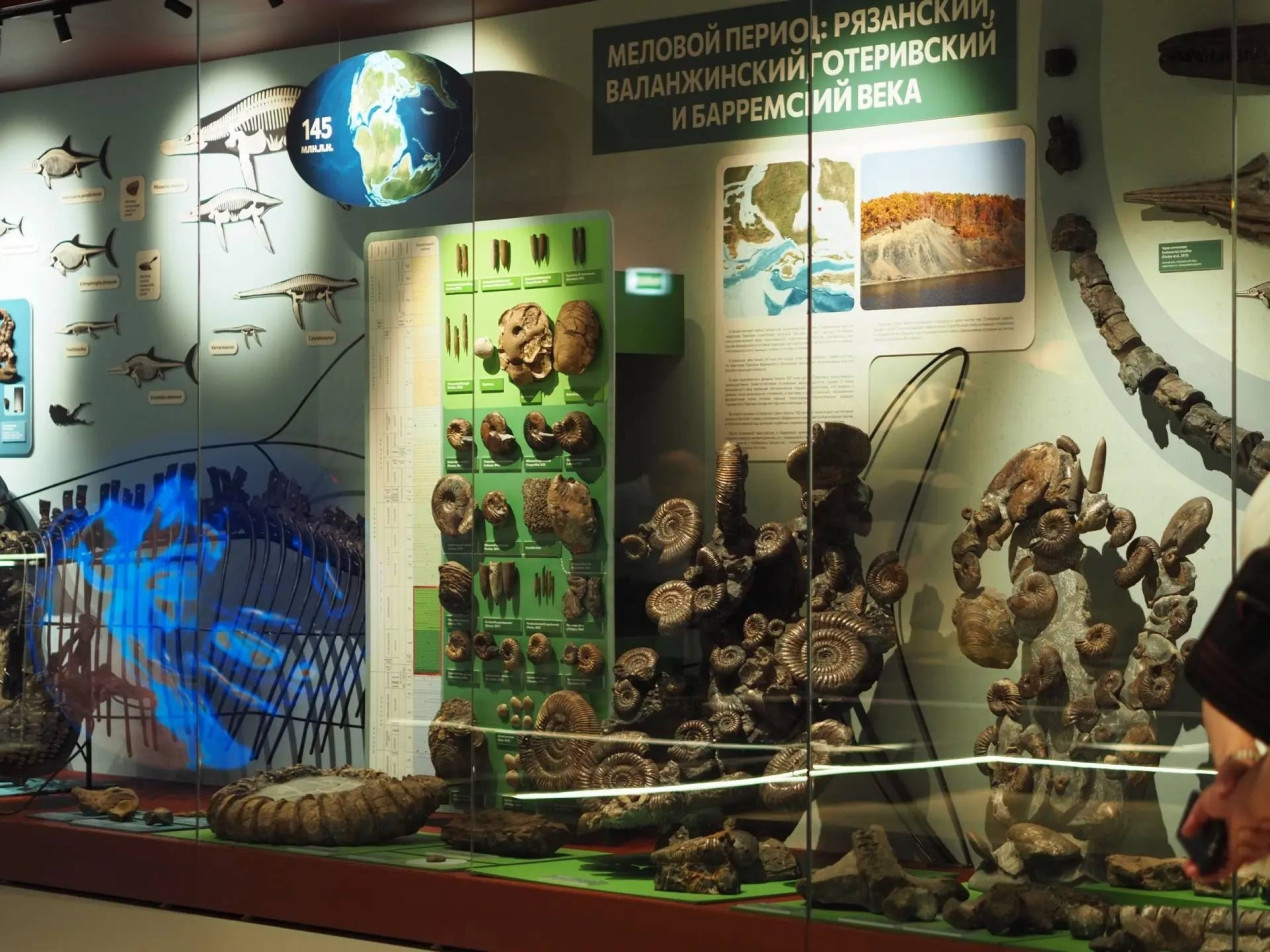 Экспозиция Ундоровского музея. Фото: vk.com/paleo_expeditions
