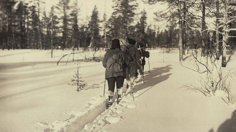 Группа людей идет на лыжах по снегу. Фото: Олег Измайлович Семенов-Тян-Шанский
