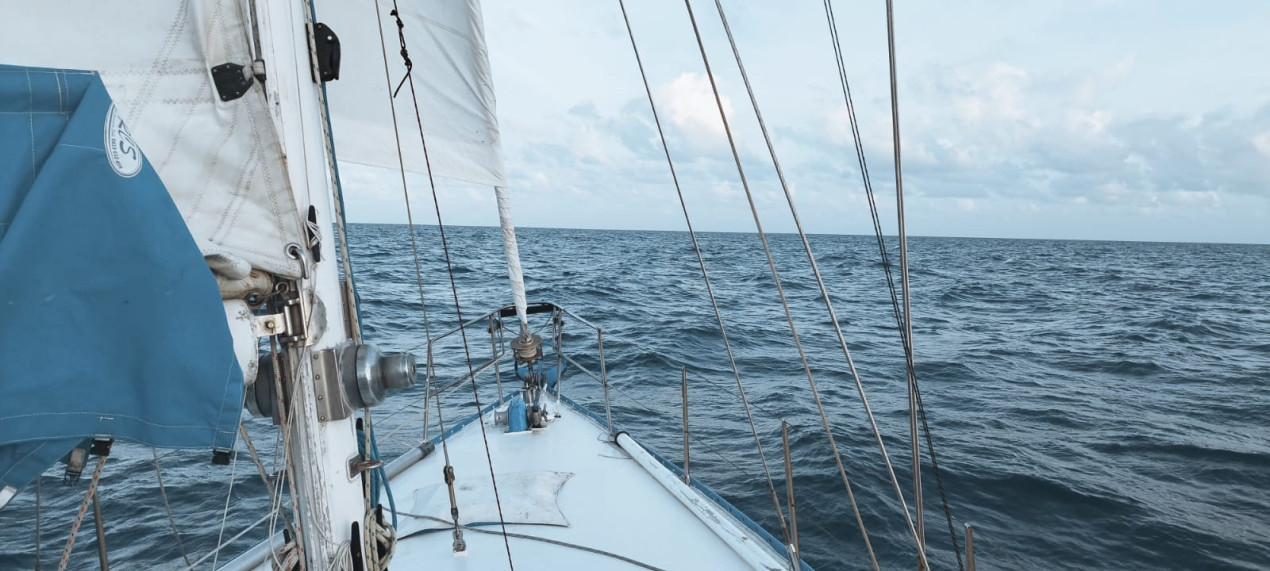 In the Coral Sea. Photos of the expedition participants