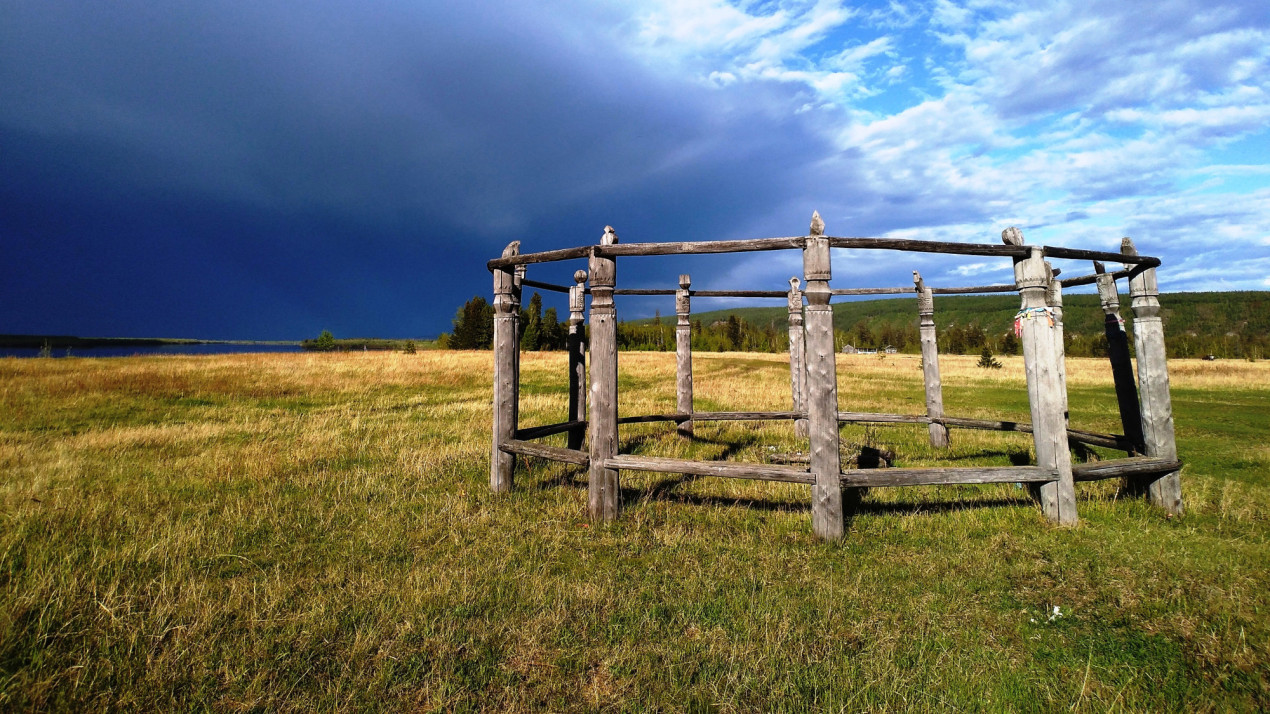 Степные пастбища в Плейстоценовом парке. Фото: Алексей Емельянов, участник конкурса РГО «Самая красивая страна»