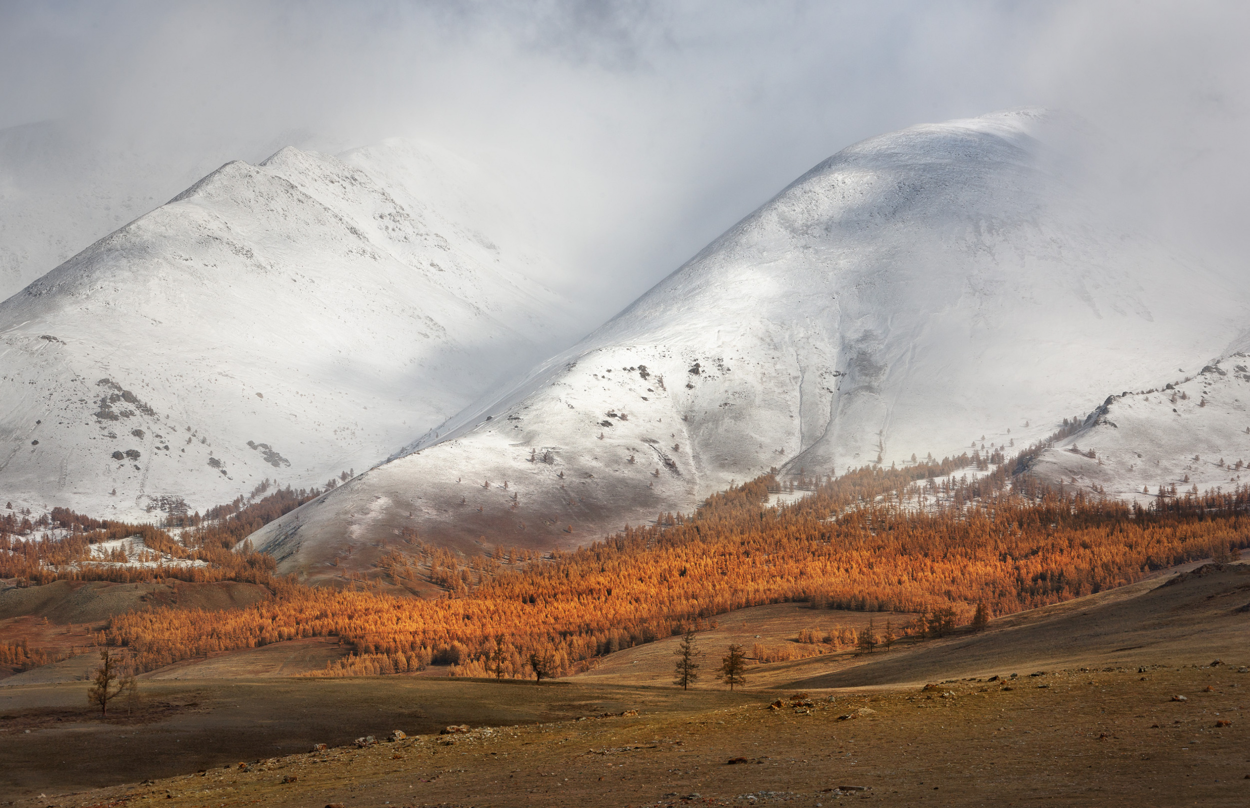 Первый снег. Фото: Юлия Назаренко 