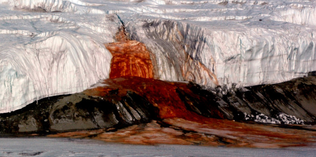 Кровавый водопад. Фото: National Science Foundation/Peter Rejcek, Public Domain, https://commons.wikimedia.org/w/index.php?curid=38735981