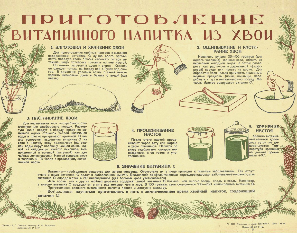 Рецепт хвойного напитка. Из книги «Военно-географический альбом 1941 - 1945». Фото: https://geoportal.rgo.ru