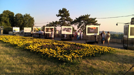 Photo is provided by the RGS Center in Serbia