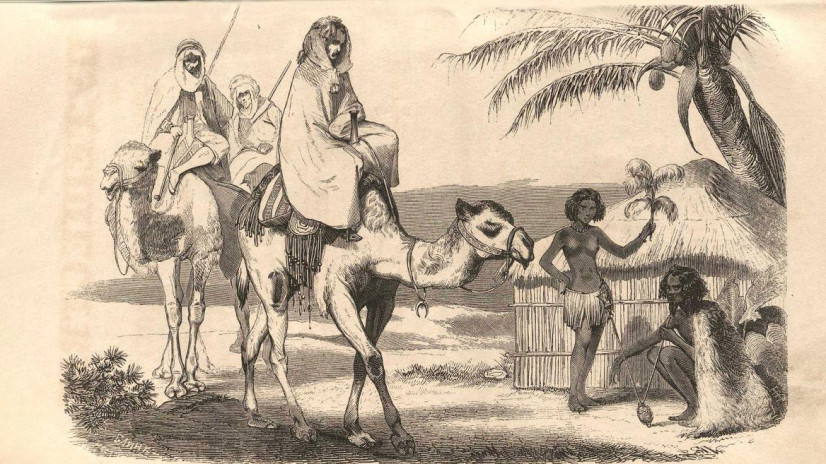 Иллюстрация из книги Ковалевского «Путешествие во Внутреннюю Африку». Фото: rusneb.ru