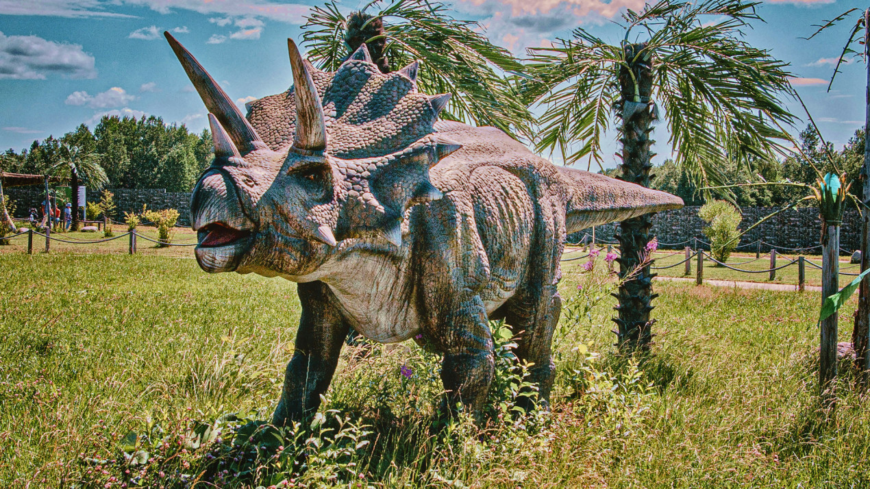 Парк динозавров в Вологодской области. Фото: Константин Терёхин, участник конкурса РГО «Самая красивая страна»