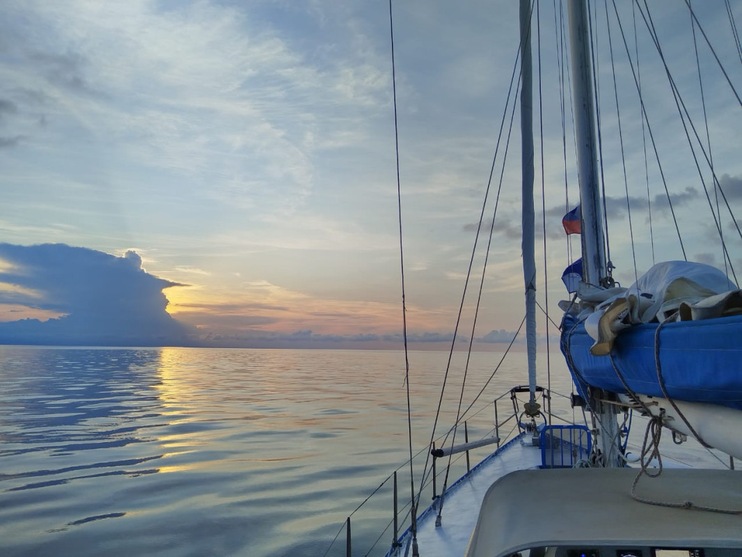 The calmness of the ocean. Photos of the expedition participants