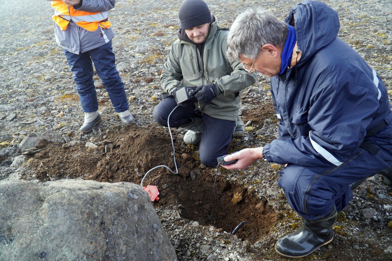 The expedition work was carried out on the territory of Russian Arctic National Park. Photo: Daria Zaretskaya