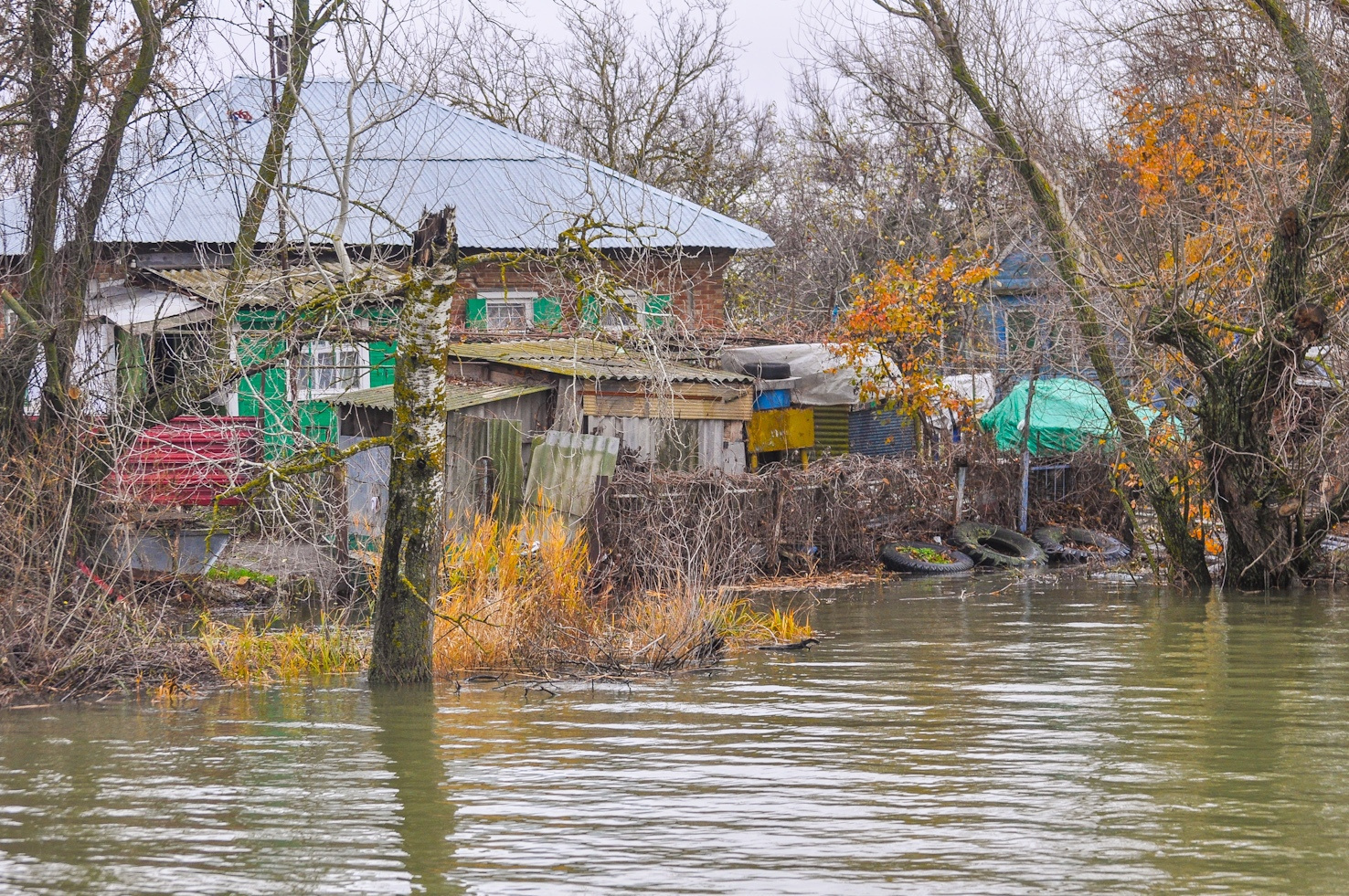 Берега в хуторе Донском. Фото: Олег Хорошев