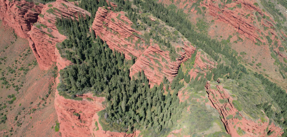 Стоимость путешествия от 238 000 рублей