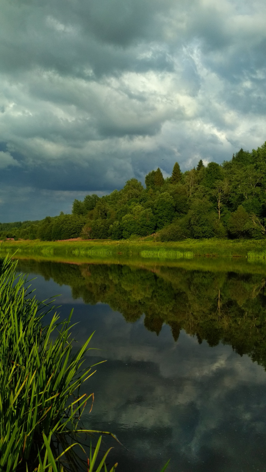 Река Оять. Фото предоставлено участниками экспедиции