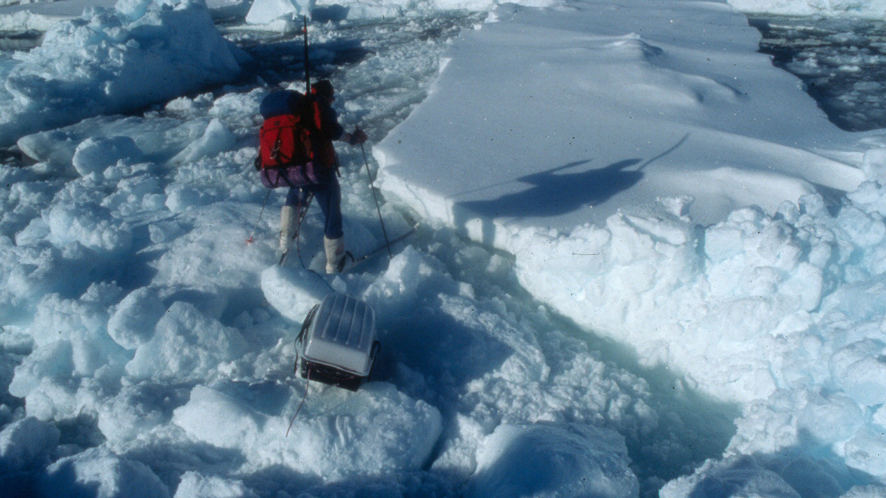 Переход через трещину во льдах. Фото из архива Михаила Малахова