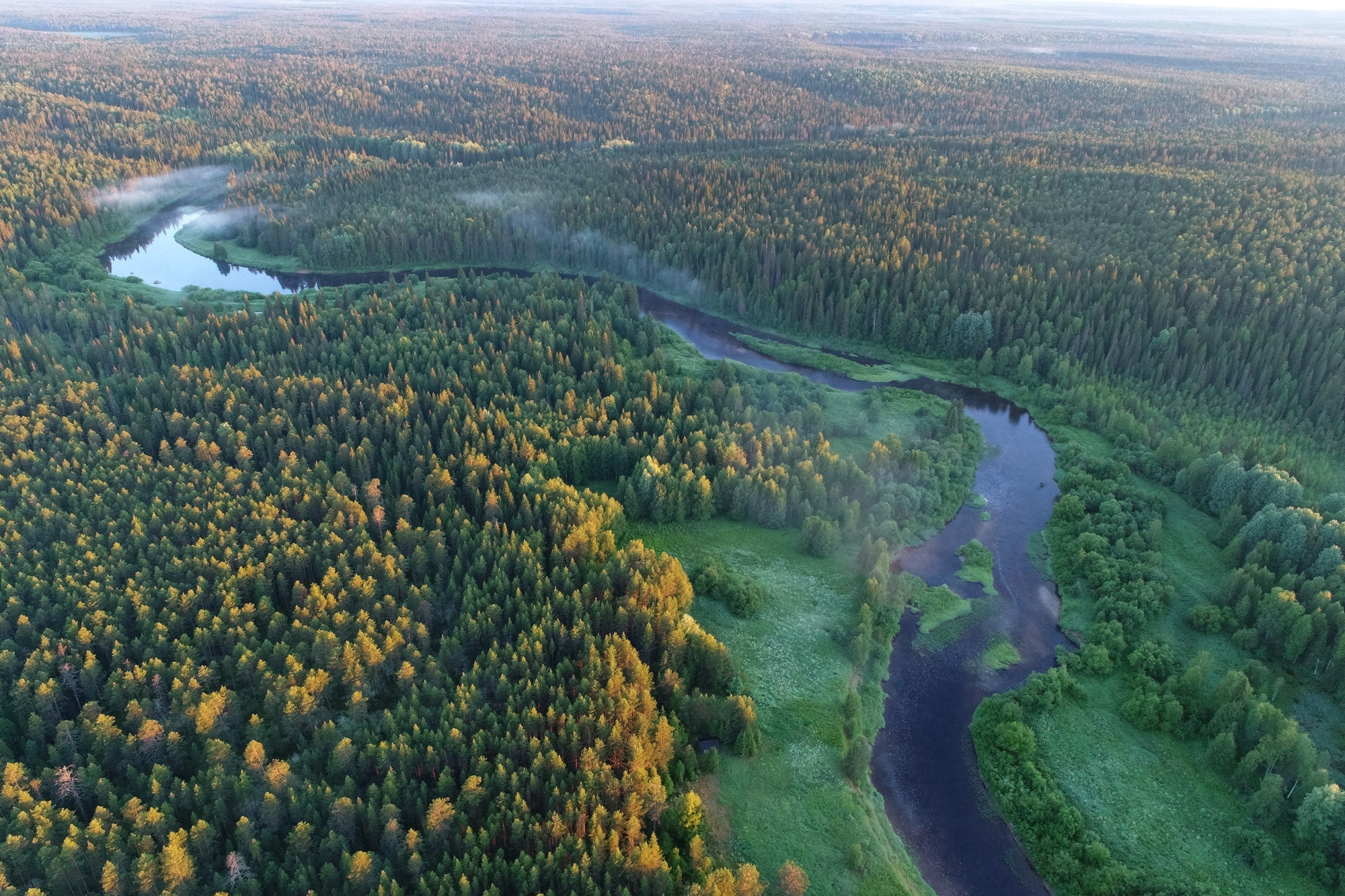 Архангельская тайга, река Юла, приток Пинеги. Фото: Игорь Шпиленок