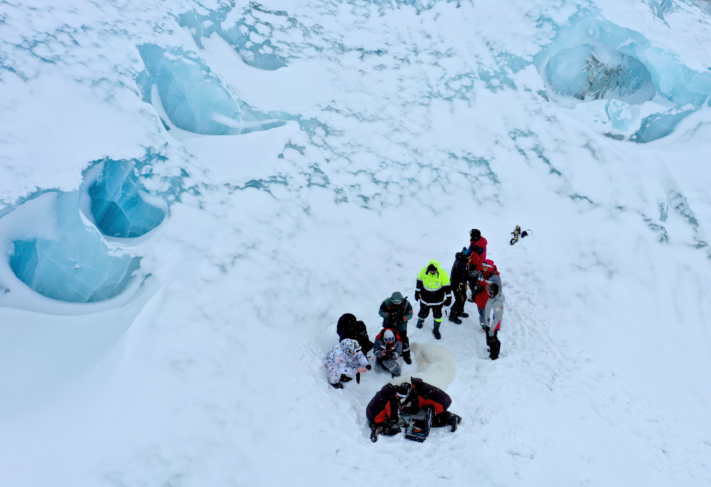 Учёных интересует всё, что происходит сегодня в Арктике. Фото: Гавриил Григоров