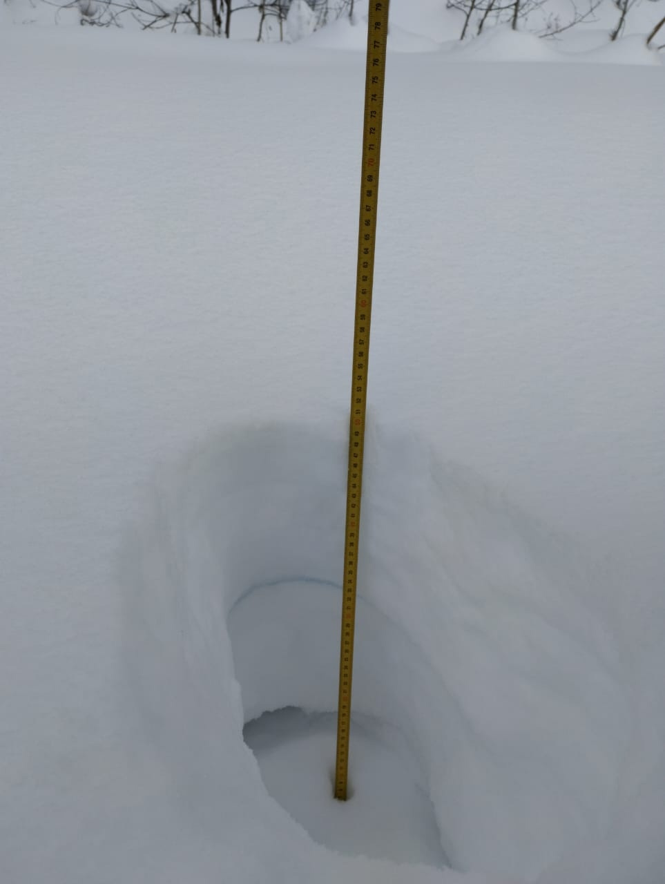 Измерения высоты снежного покрова. Фото: Шорский национальный парк
